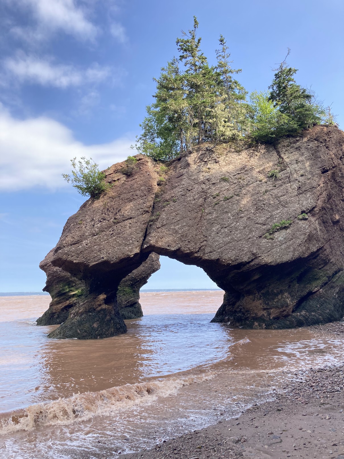 Hopewell Rocks