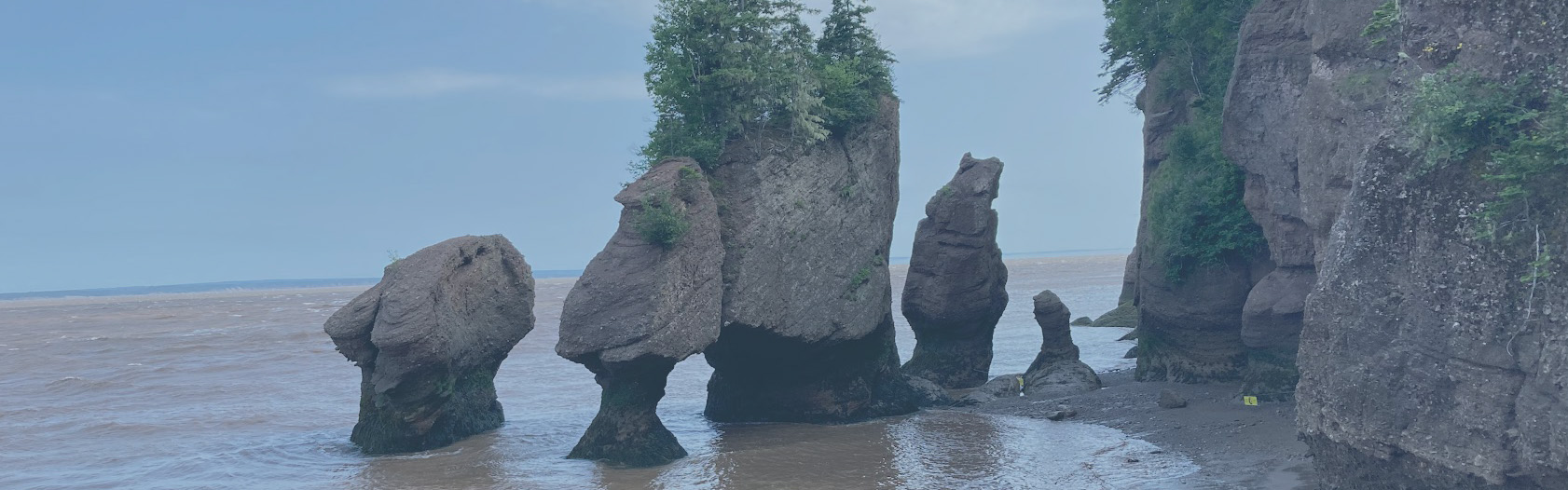 hopewell rocks