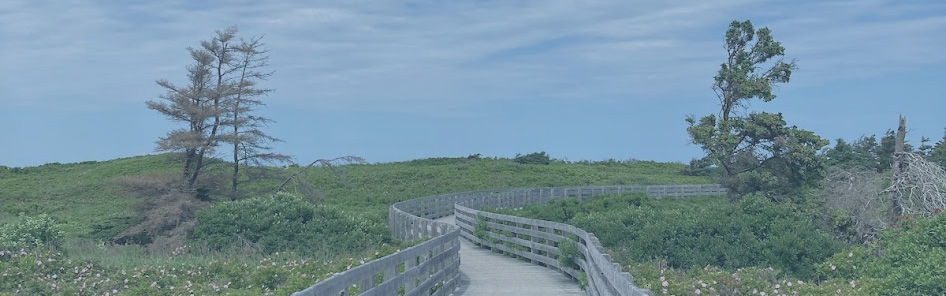 boardwalk to Greenwich Beach