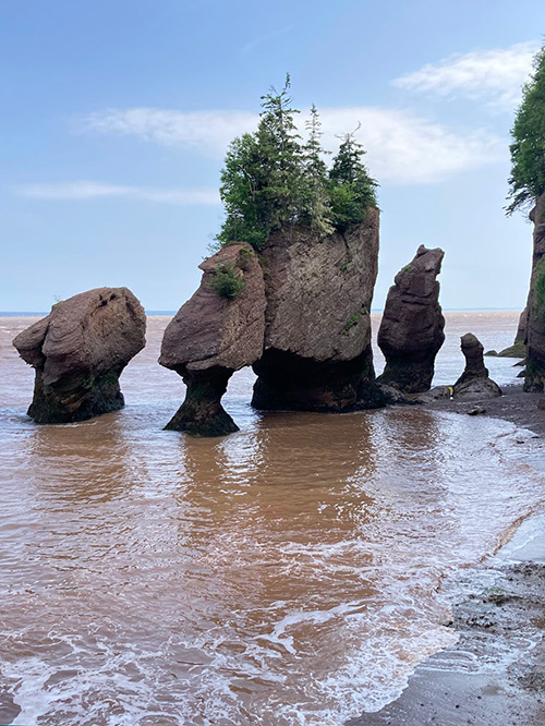 view of hopewell rocks, during high tide